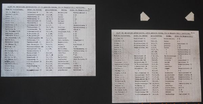 1061.4 Affiches met opgeplakte knipsels, gekopieerd uit een dagboek uit de periode 4 december 1944 - 12 januari 1945 ...